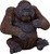 Moj orangutan