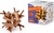 RECENTTOYS Brain Puzzle 1 - tylový lalok