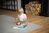 CUBIKA Pastell 16037 13739 Angeln - Holzspiel 14 Teile