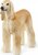 Schleich Chrt