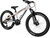 PUKY Kinderfahrrad 20" X-COADY 20 DISC