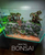 Bonsai Driftwood 40 x 30 x 33 cm No.100