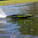 Proboat Sonicwake V3 36" RTR červená