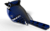 EUGY Modra sojka 3D kartonska sestavljanka