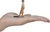 Mojo Surikata