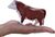 Mojo Hereford Stier