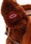 Hobby Horse so zvukom a kolieskami Bruno Baby Mix Brown
