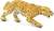Safari® Leopard