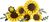 LEGO® Botanicals 11502 Sonnenblumenstrauß