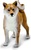 Safari® Pes Shiba inu