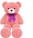 Plišani medvjed s mašnom, Teddy Greetings 120 cm (ružičasti)
