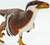 Safari® Deinonychus dinosaurus