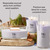 WW Kerze Klein Lavendel &amp; Zeder