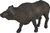Mojo Byvol africký