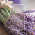 YC Signature Kerze Groß Dried Lavender &amp; Oak
