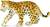 Safari® Mláďa leoparda