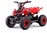 Quad per bambini a benzina Beneo Motors MTX rossa - 49cm3
