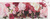Galison Panoramatické puzzle Nekonečná láska 1000 dielikov