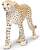 Safari® Gepard
