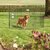 Ohradka Savic Dog Park 2 91cm