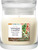 YC Signature Kerze Klein Christmas Cookie