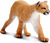 Safari® Amerikanischer Puma