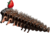 EUGY Jež 3D kartonová skládačka