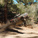 Arrma Mojave 6S EXB BLX 1:7 RTR fekete