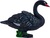 Mojo Cygne noir