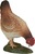 Mojo Sliepka kŕmiaca sa