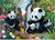 Dino PANDY 1000 secret collection Puzzle NOVÉ