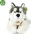 Cane peluche Husky con collare sdraiato 60 cm ECO-FRIENDLY