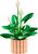 LEGO® Botanicals 11504 Lopatkovec