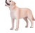 Mojo Labrador