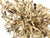 Bonsai Driftwood 20 x 15 x 16 cm No.10