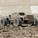 Arrma Big Rock 223S BLX 1:10 4WD RTR DSC modrá
