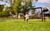 BERG PlayBase Soccer target net M