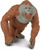 Safari® Orangutan