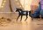 Schleich Zvieratko - Valach paint horse
