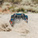 Arrma Mojave 6S EXB BLX 1:7 RTR fekete