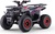 Benzínová štvorkolka pre deti Beneo Motors WARRIOR červená - 125cm3