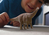 Schleich Prähistorisches Tier - Brontosaurus