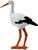 Safari® Biely bocian