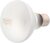 Žiarovka Repti Planet Daylight Frosted 100W
