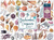 Galison Puzzle Aus dem Handbuch des Strandbummels 1000 Teile