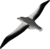 EUGY Kraljevski albatros 3D kartonska sestavljanka