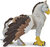 Safari® Hippogryf