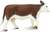 Safari® Krava Hereford