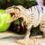Safari® Giganotosaurus dinosaurus