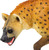 Safari® Hyena